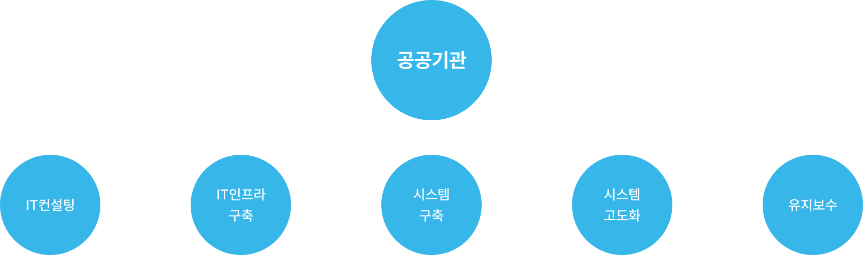 주요서비스분야